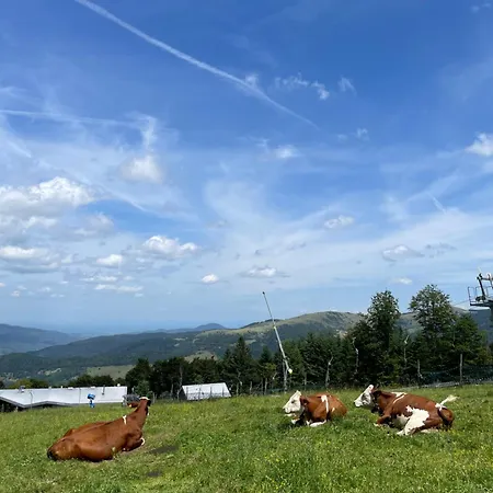 アパート De Montagne - Station Du Schnepfenried *